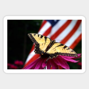 American Butterfly Sticker